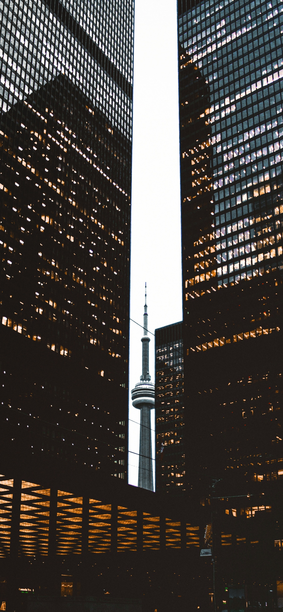 Обои небоскреб, Платье Невесты, Кеннеди Блю, невесты, свадьба в разрешении 1125x2436