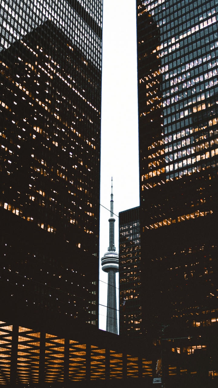 Обои небоскреб, Платье Невесты, Кеннеди Блю, невесты, свадьба в разрешении 720x1280