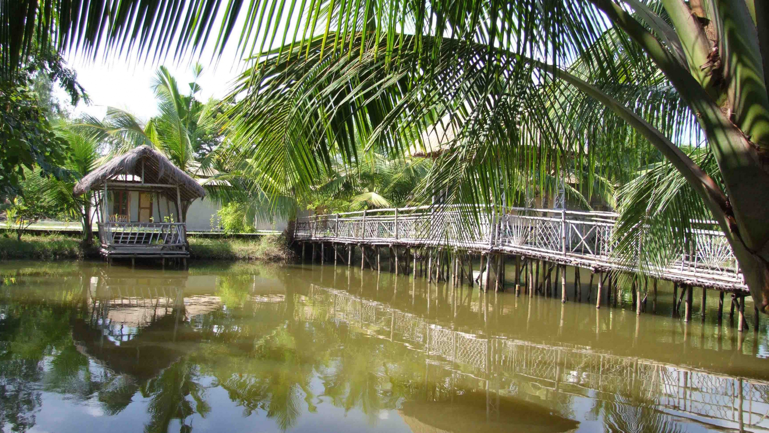 Обои туризм, Часов Sajnekhali Турбазу, путешествие, дерево, Пальма в разрешении 2560x1440