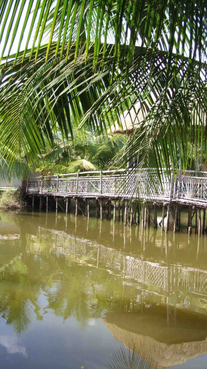 Обои туризм, Часов Sajnekhali Турбазу, путешествие, дерево, Пальма в разрешении 720x1280