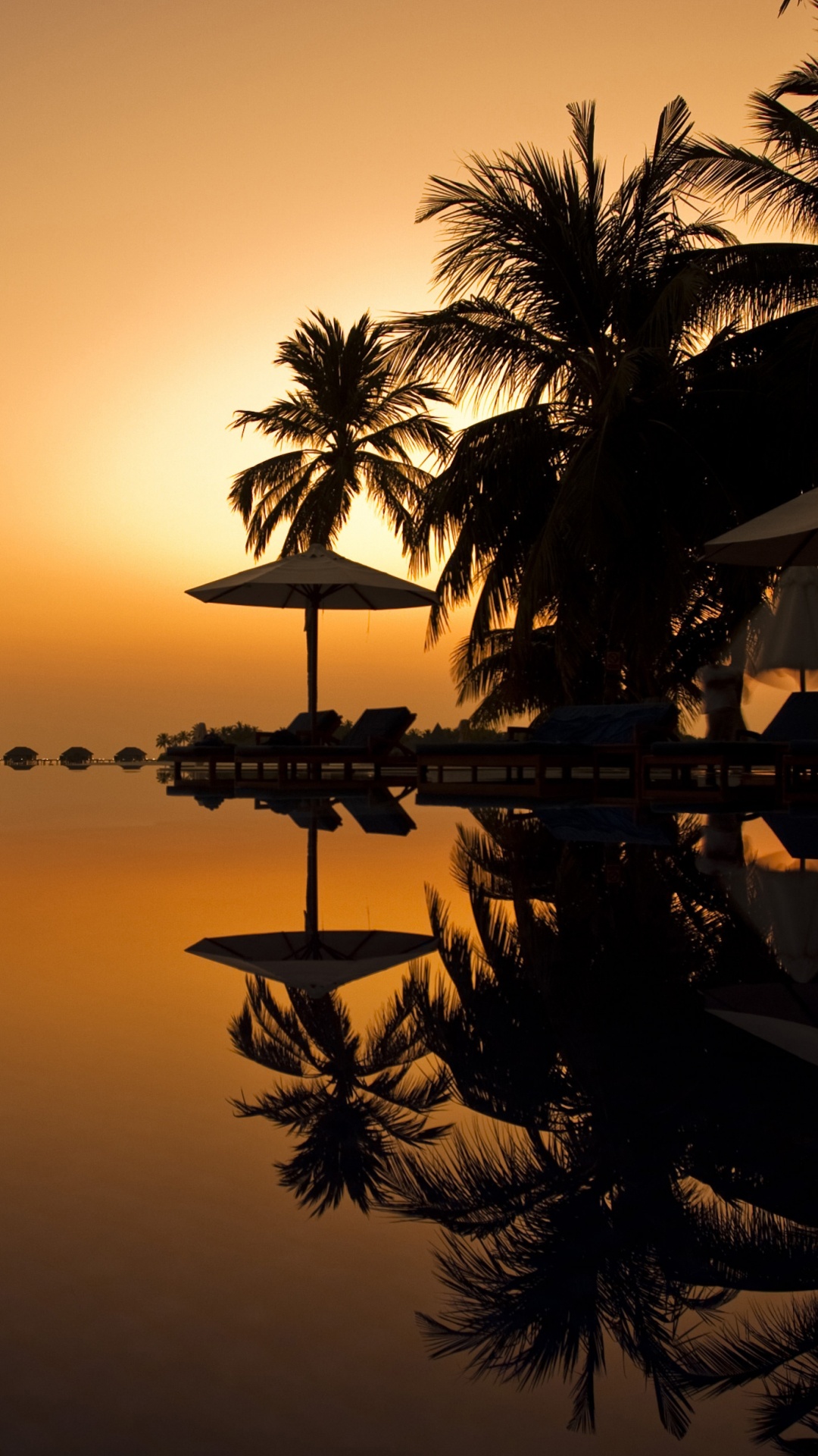 Обои Пальма, дерево, закат, отражение, вечер в разрешении 1080x1920