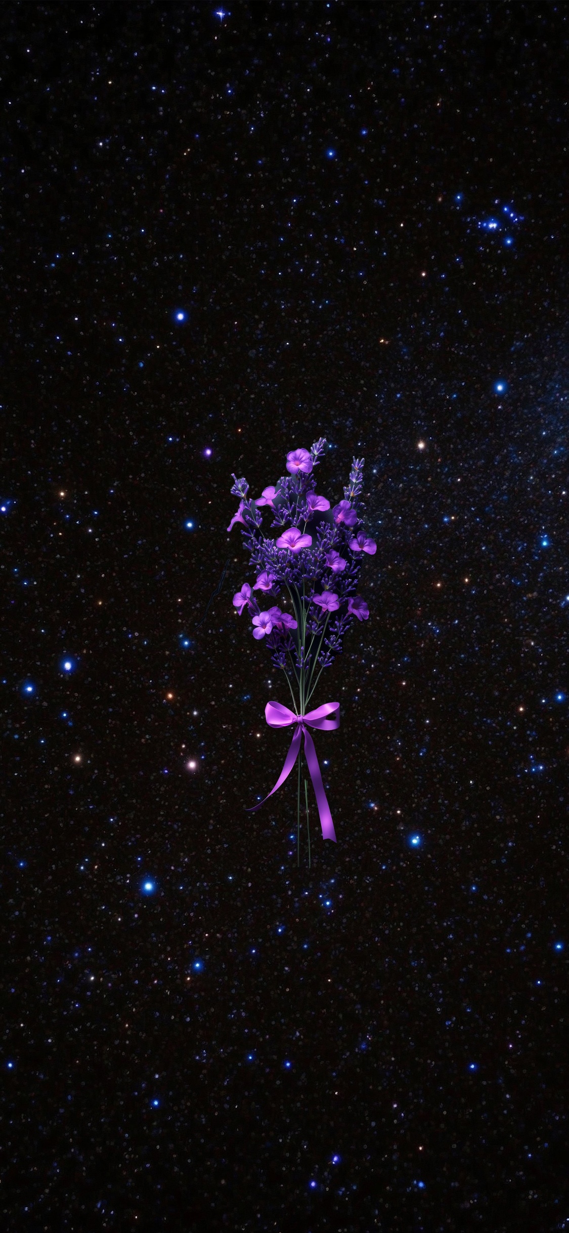 Обои розовый, ночь, лепесток, пурпур, цветковое растение в разрешении 1125x2436