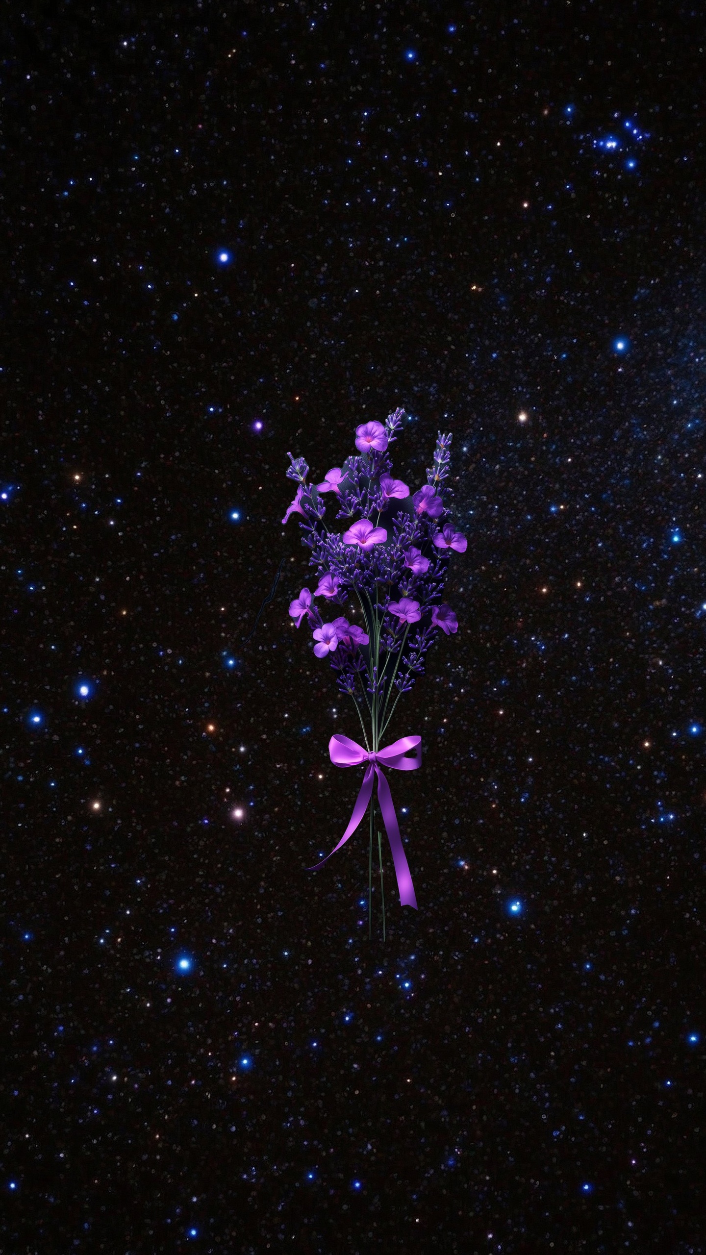 Обои розовый, ночь, лепесток, пурпур, цветковое растение в разрешении 1440x2560