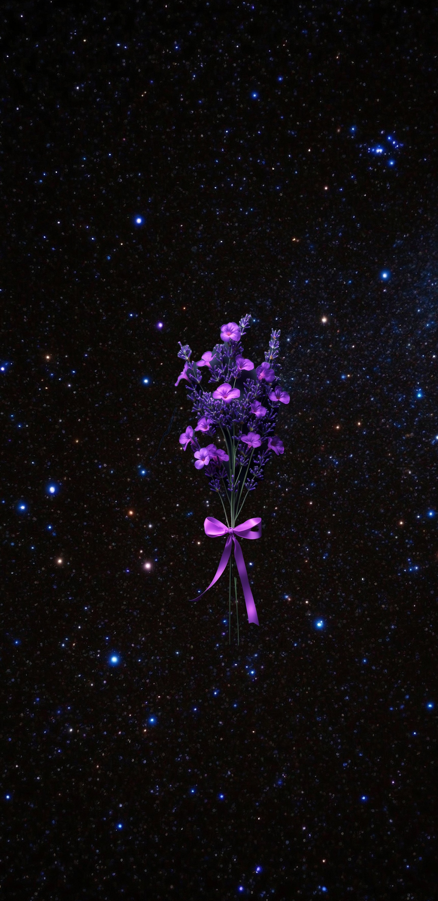 Обои розовый, ночь, лепесток, пурпур, цветковое растение в разрешении 1440x2960