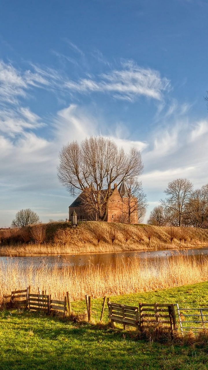 Обои дерево, облако, сельский район, поле, музыка в разрешении 720x1280