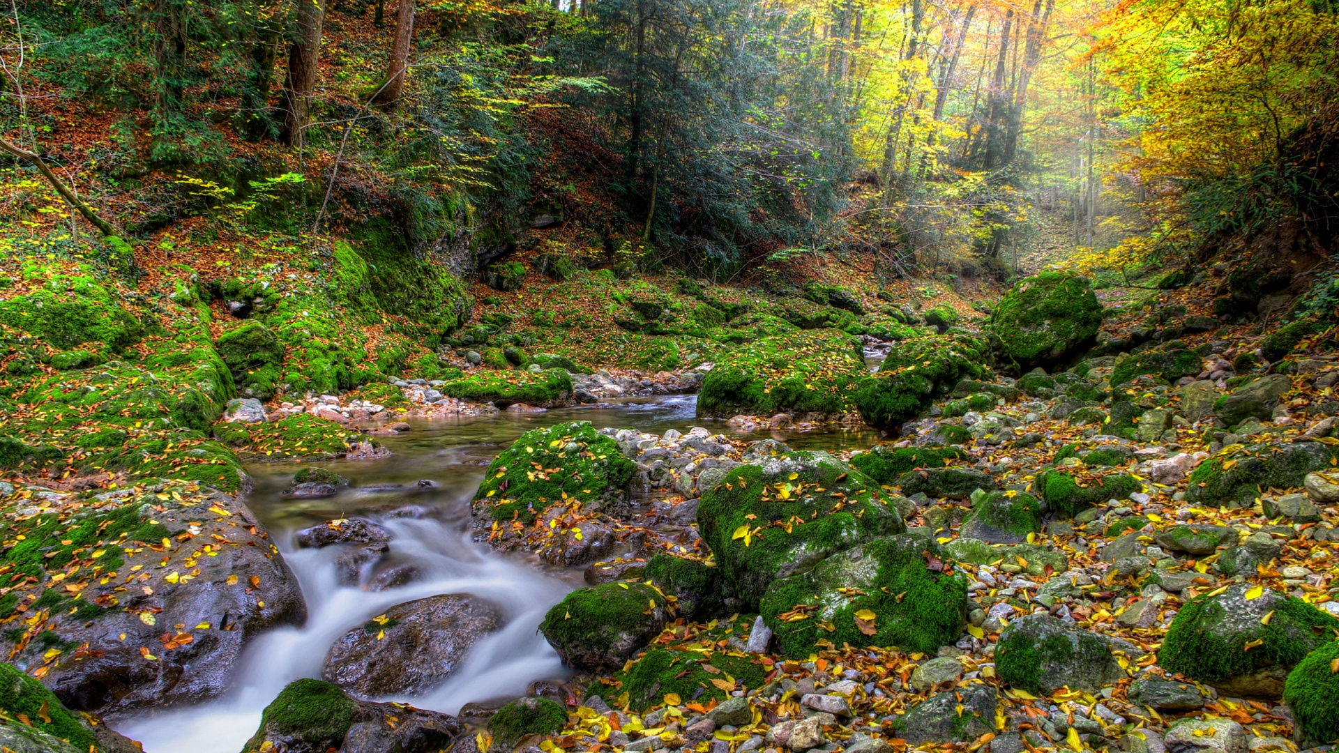 Обои поток, природа, водоток, лист, вода в разрешении 1920x1080