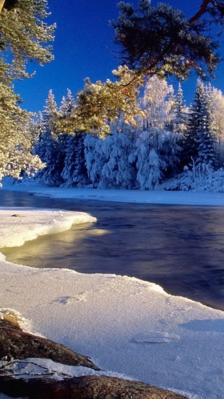 Обои снег, зима, природа, замораживание, дикая местность в разрешении 720x1280