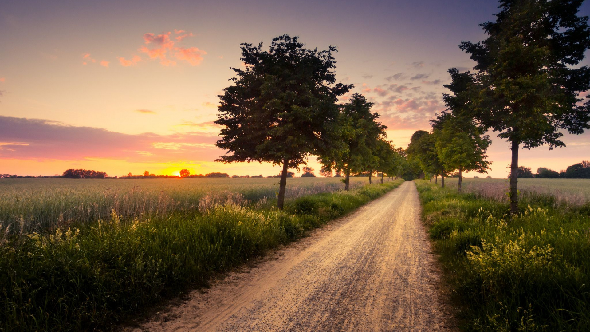 Обои природа, дерево, дорога, утро, горизонт в разрешении 1920x1080