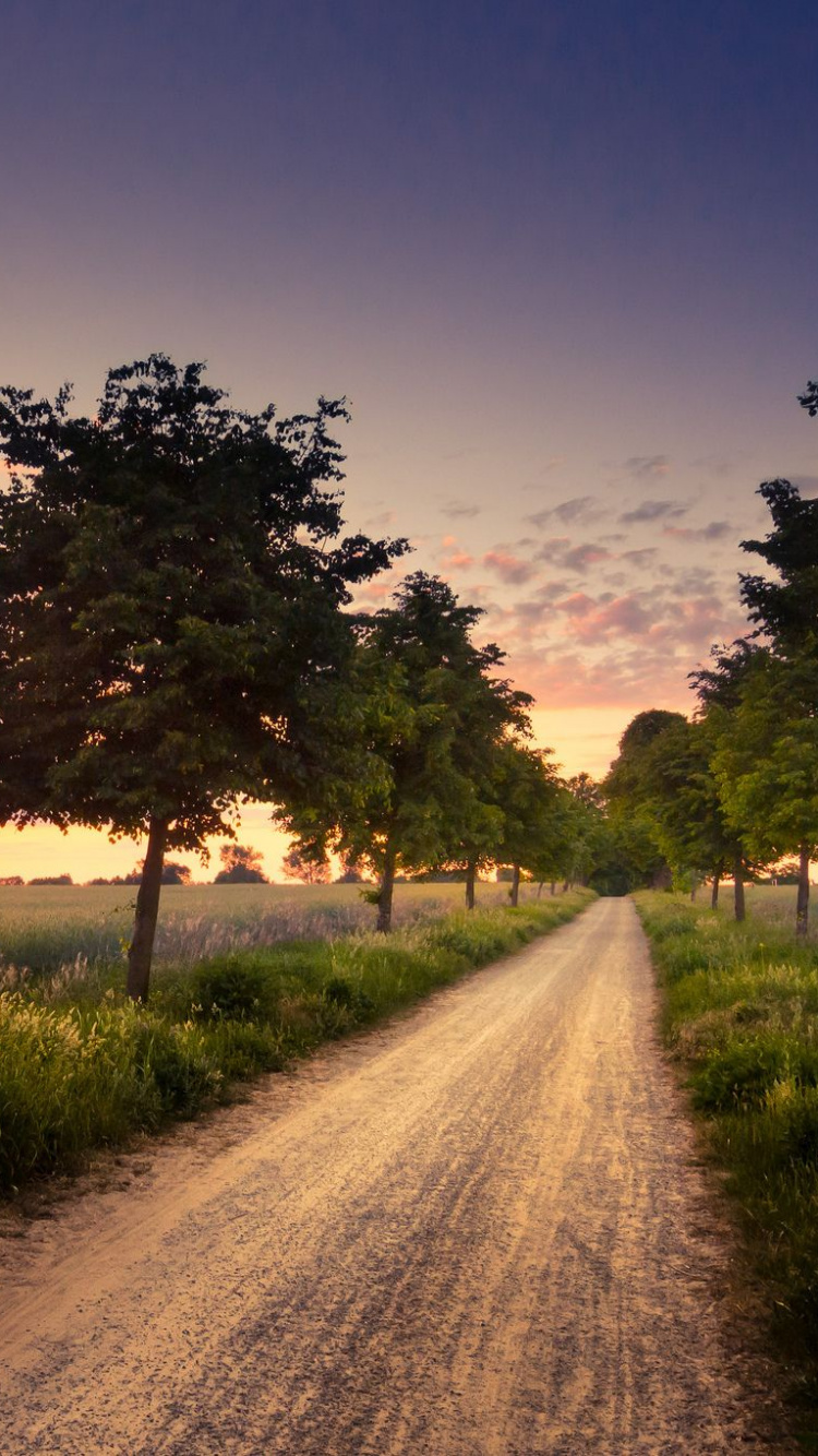 Обои природа, дерево, дорога, утро, горизонт в разрешении 750x1334