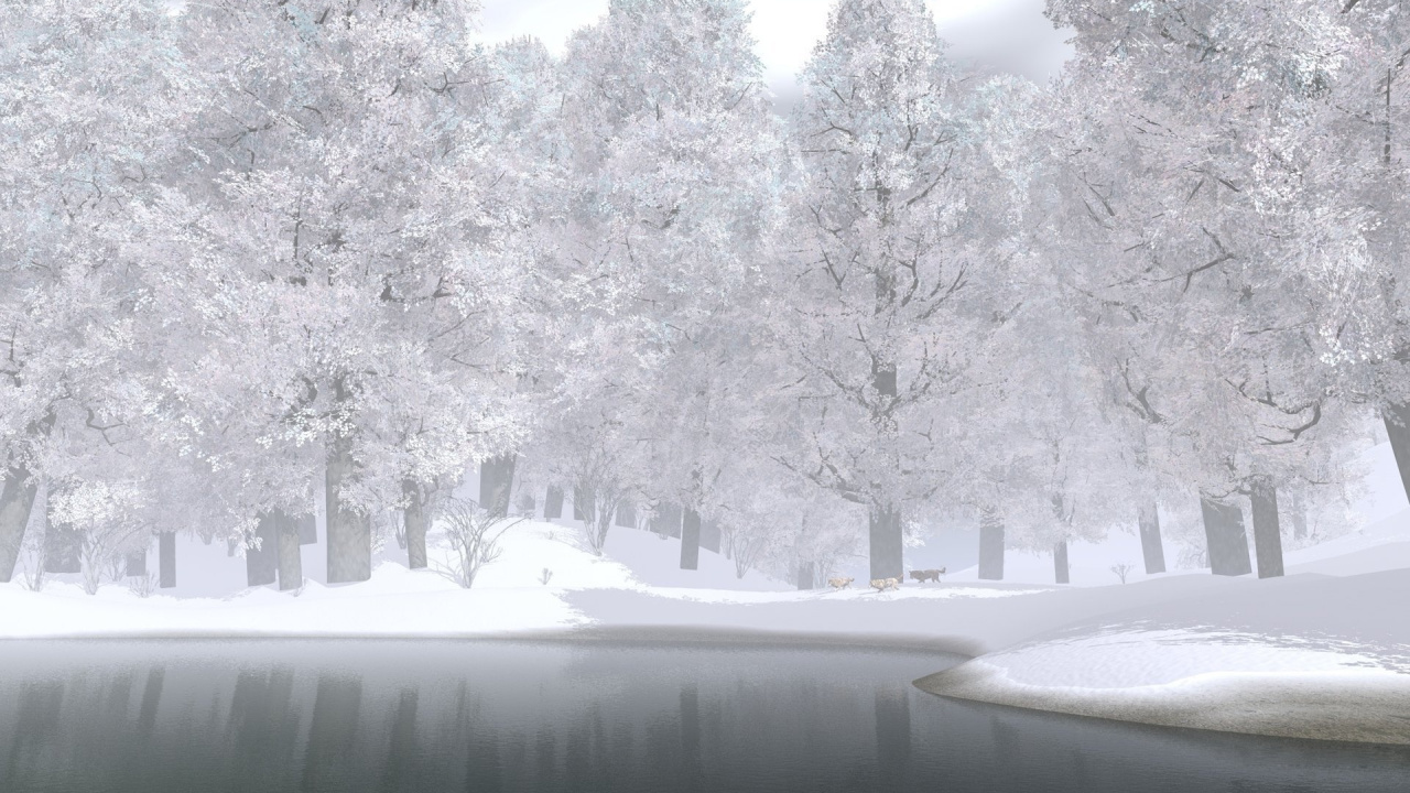 Обои снег, зима, дерево, замораживание, мороз в разрешении 1280x720