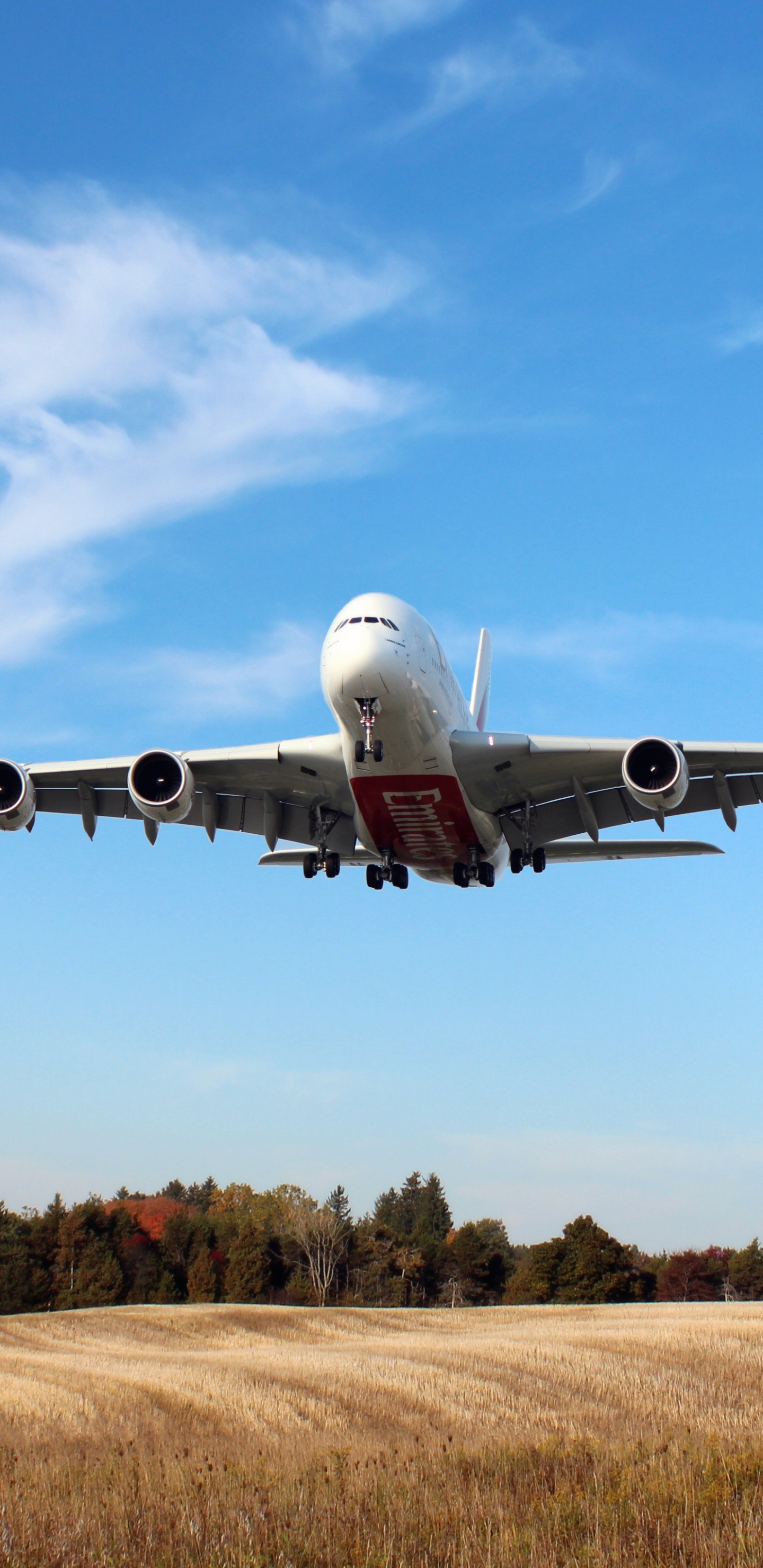 Обои Аэробус а380, Аэробус, самолеты, самолет, Аэробус A380-800 в разрешении 1440x2960