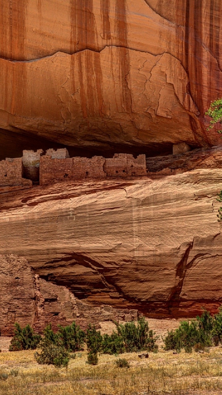 Обои развалины, рок, формирование, обнажение, дерево в разрешении 720x1280