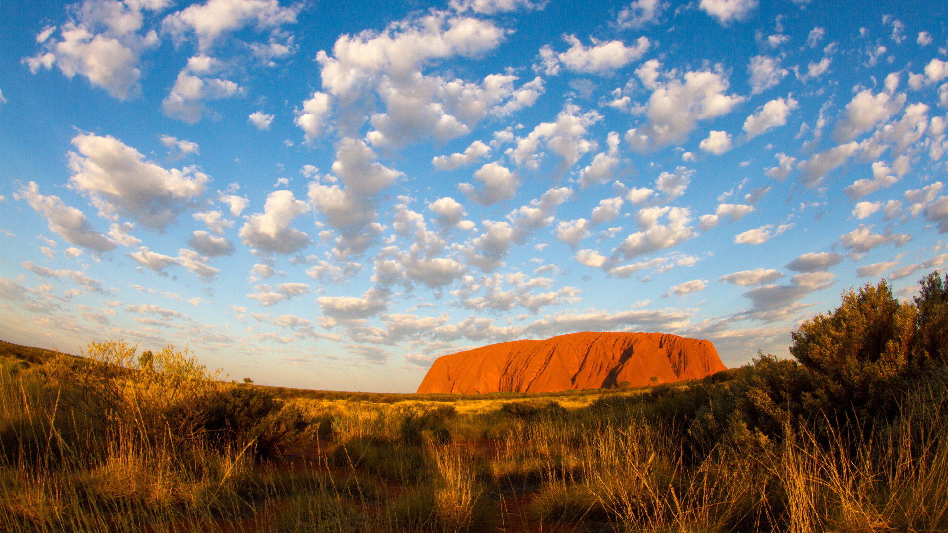 Обои Улуру, облако, сенокосное угодье, прерия, дикая местность в разрешении 1920x1080