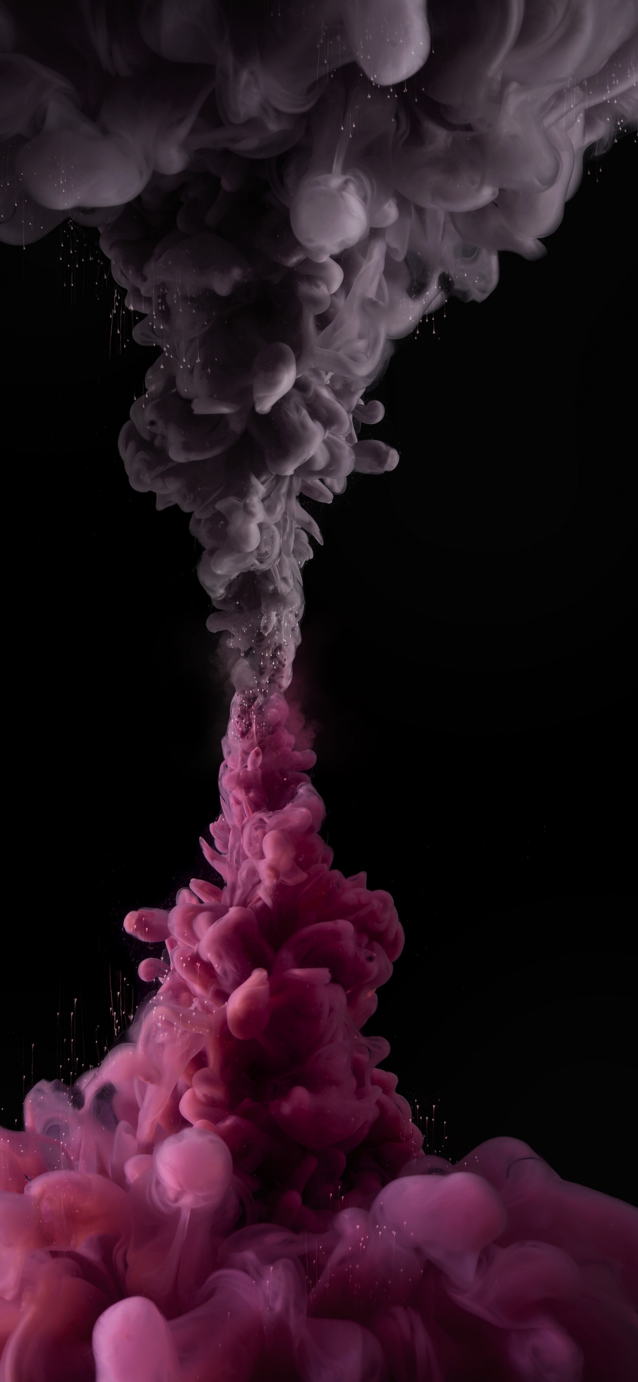 Обои цветок, цветной, розовый, дизайн интерьера, белые в разрешении 1242x2688