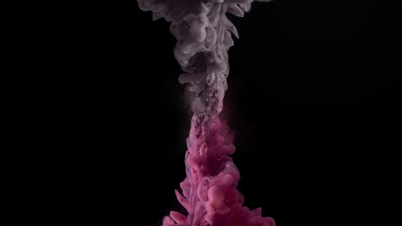 Обои цветок, цветной, розовый, дизайн интерьера, белые в разрешении 1280x720