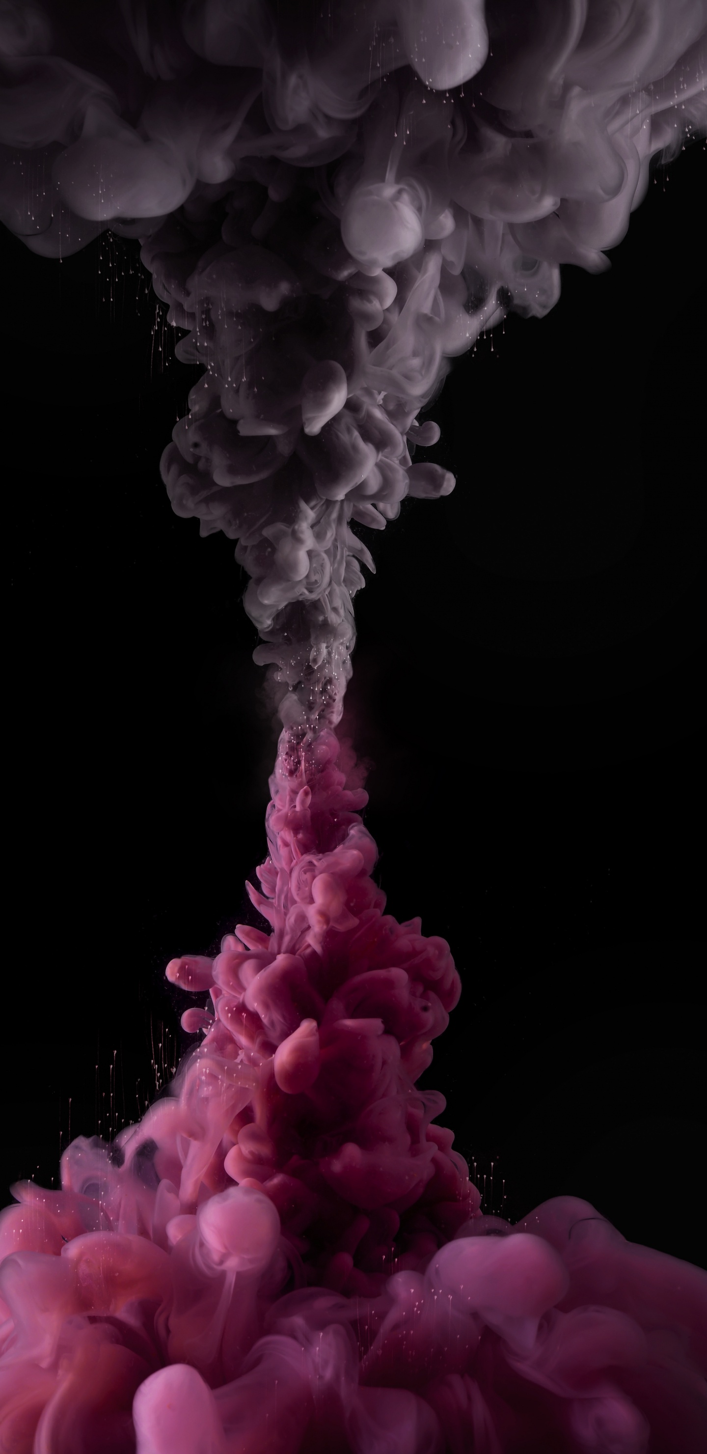 Обои цветок, цветной, розовый, дизайн интерьера, белые в разрешении 1440x2960