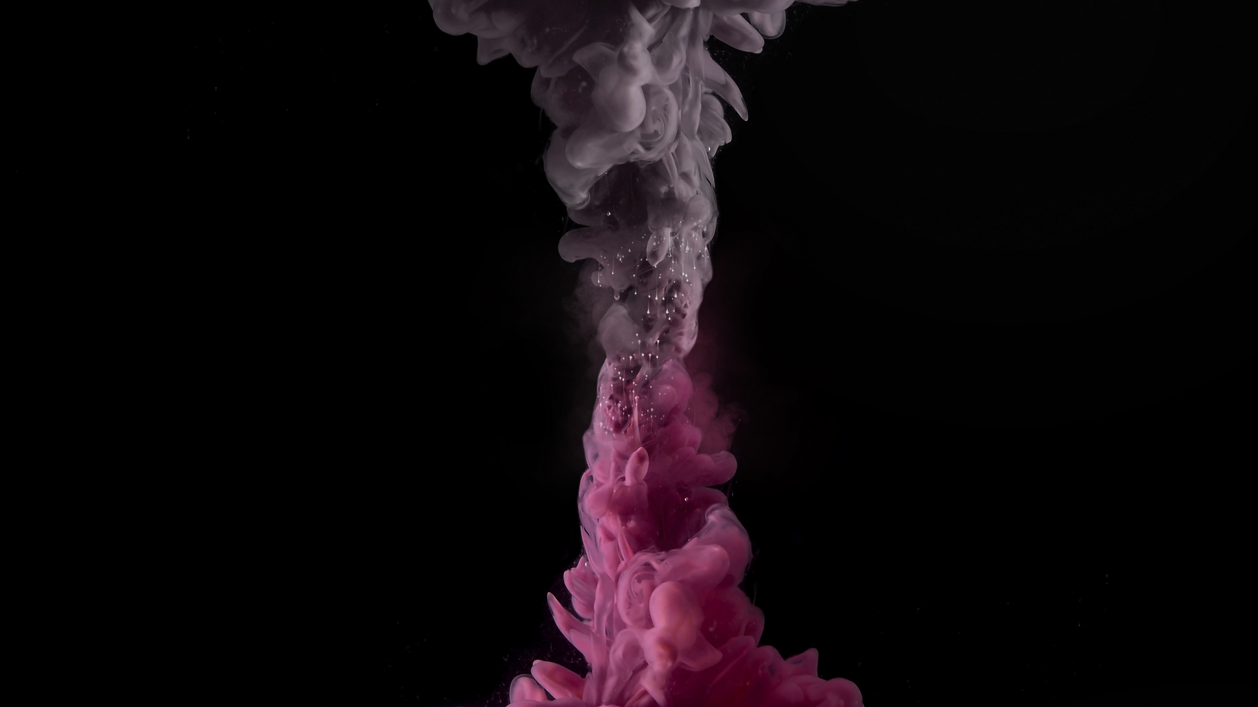 Обои цветок, цветной, розовый, дизайн интерьера, белые в разрешении 2560x1440