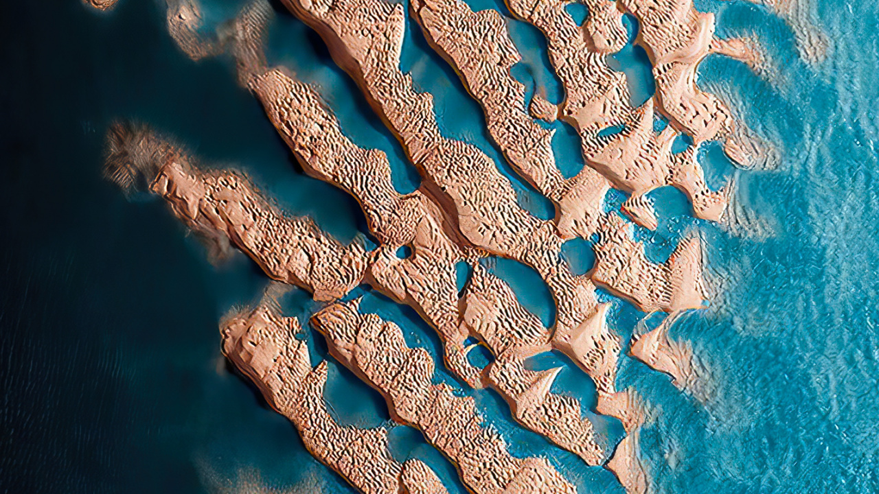 Обои двухсотлетний музей, морская биология, вода, подводная среда, синий в разрешении 1280x720