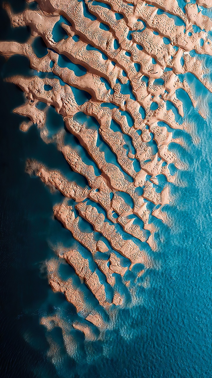 Обои двухсотлетний музей, морская биология, вода, подводная среда, синий в разрешении 720x1280