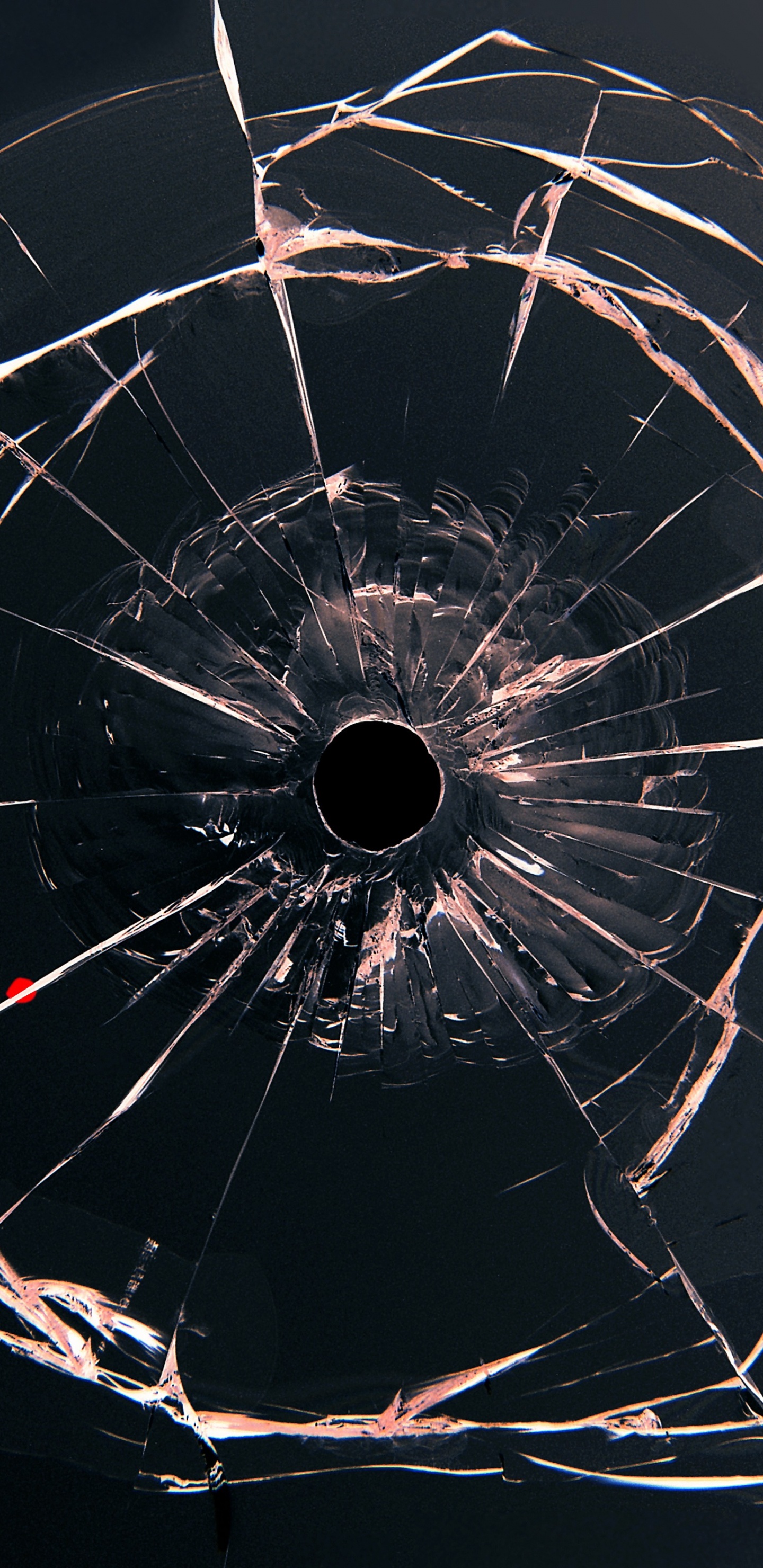 Обои паутина, вода, линия, темнота, иллюстрация в разрешении 1440x2960