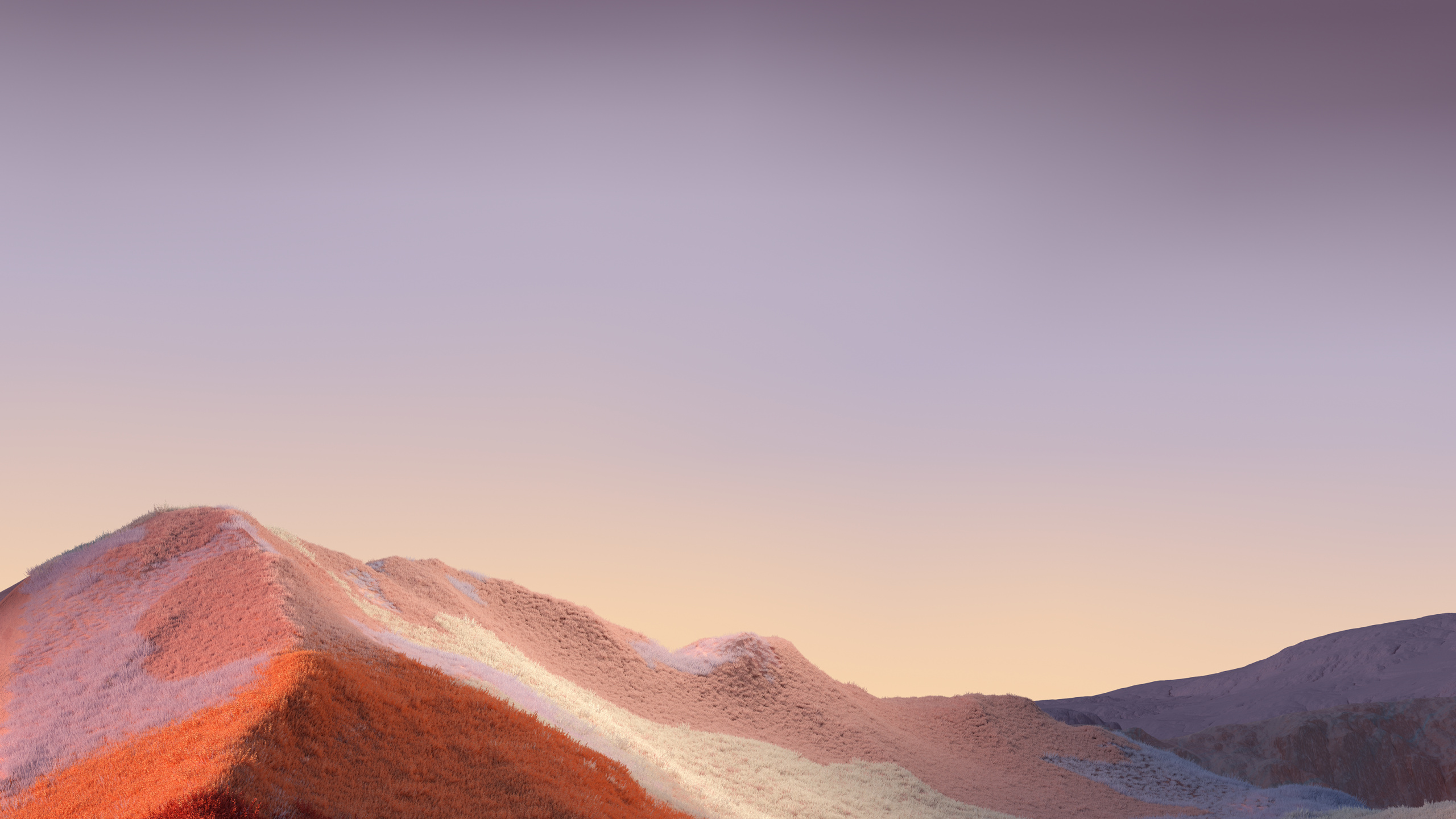 Обои Поверхность Pro 7, поверхность pro x, surface pro 3, Майкрософт, Surface Duo в разрешении 2560x1440