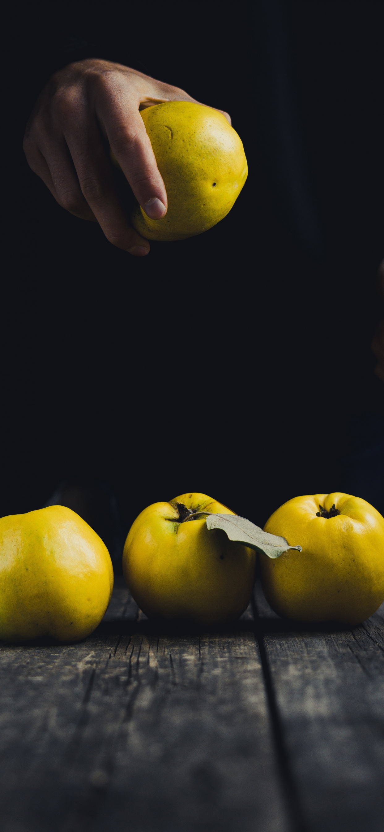 Обои фрукты, айва, желтый, растение, натюрморт в разрешении 1242x2688