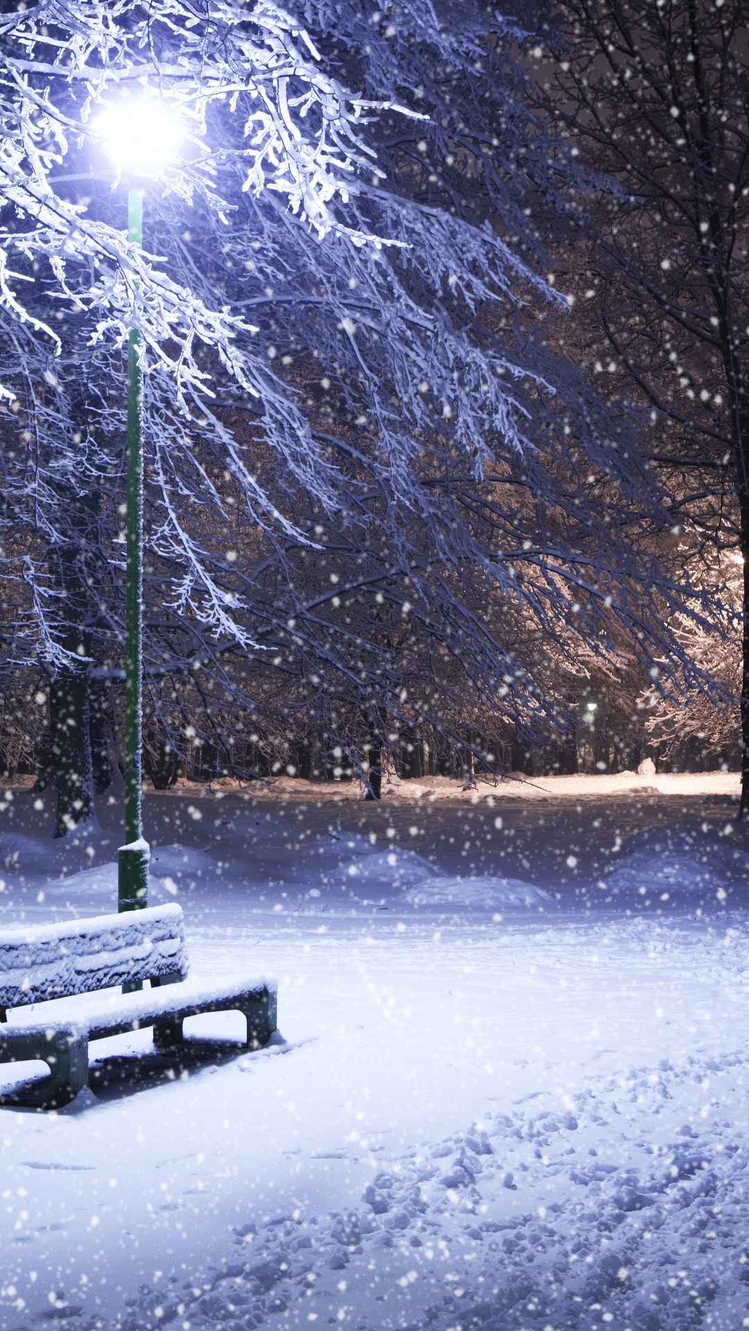 Обои зима, снег, природа, замораживание, дерево в разрешении 1080x1920