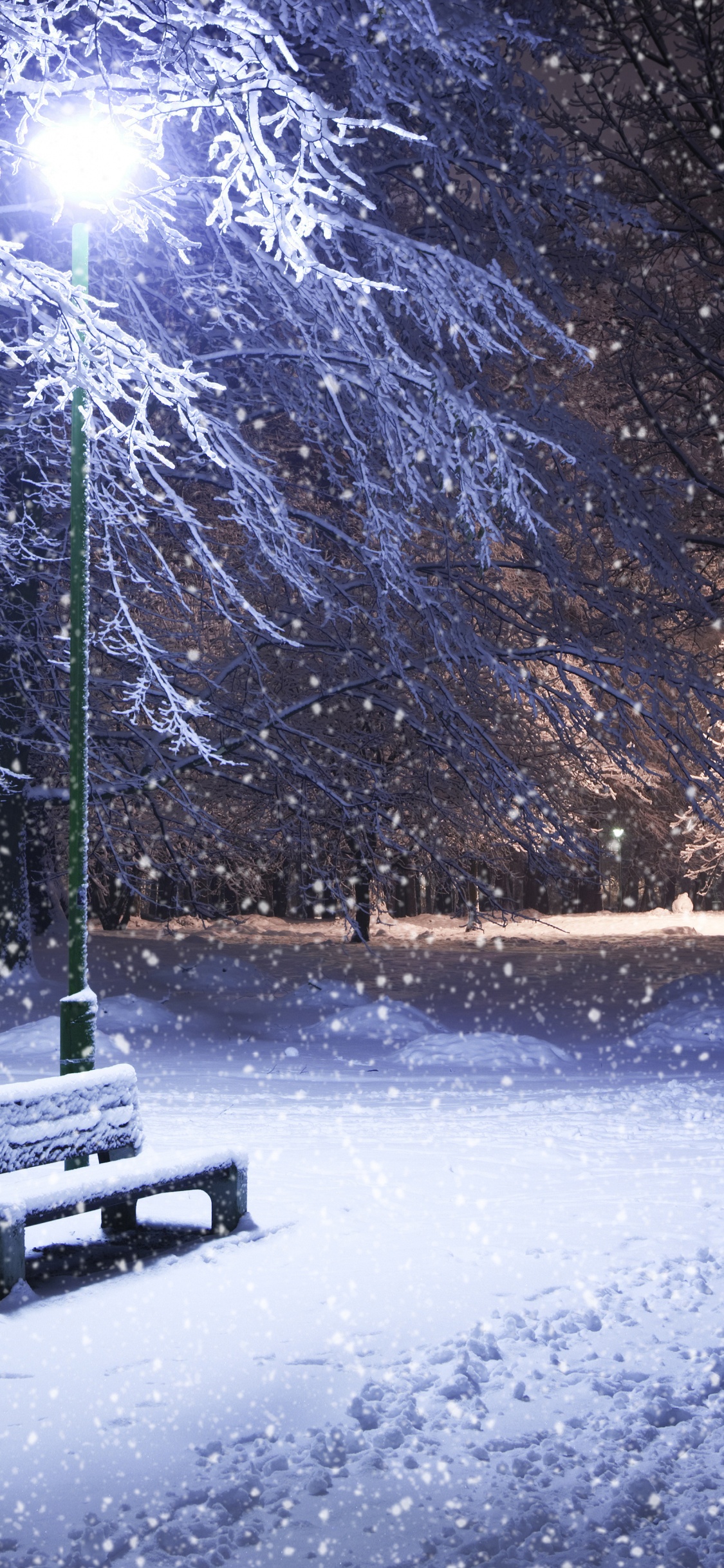 Обои зима, снег, природа, замораживание, дерево в разрешении 1125x2436