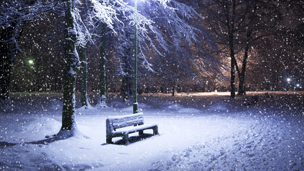 Обои зима, снег, природа, замораживание, дерево в разрешении 1280x720