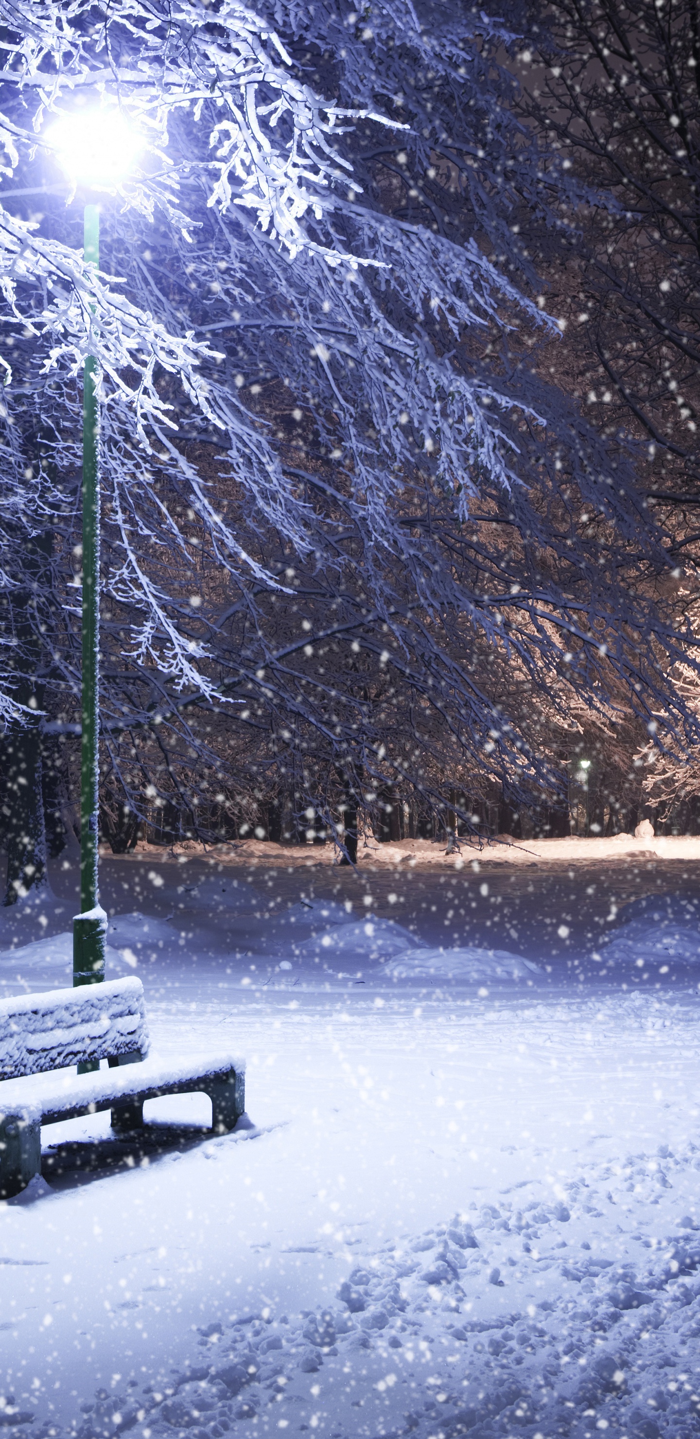 Обои зима, снег, природа, замораживание, дерево в разрешении 1440x2960