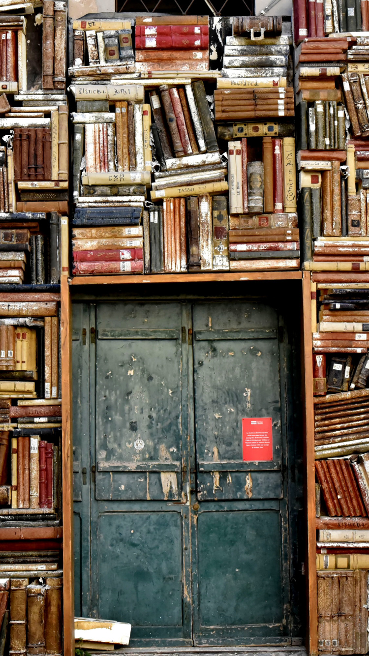 Обои русский книжный магазин, книжный магазин, книга, чтение, литература в разрешении 750x1334