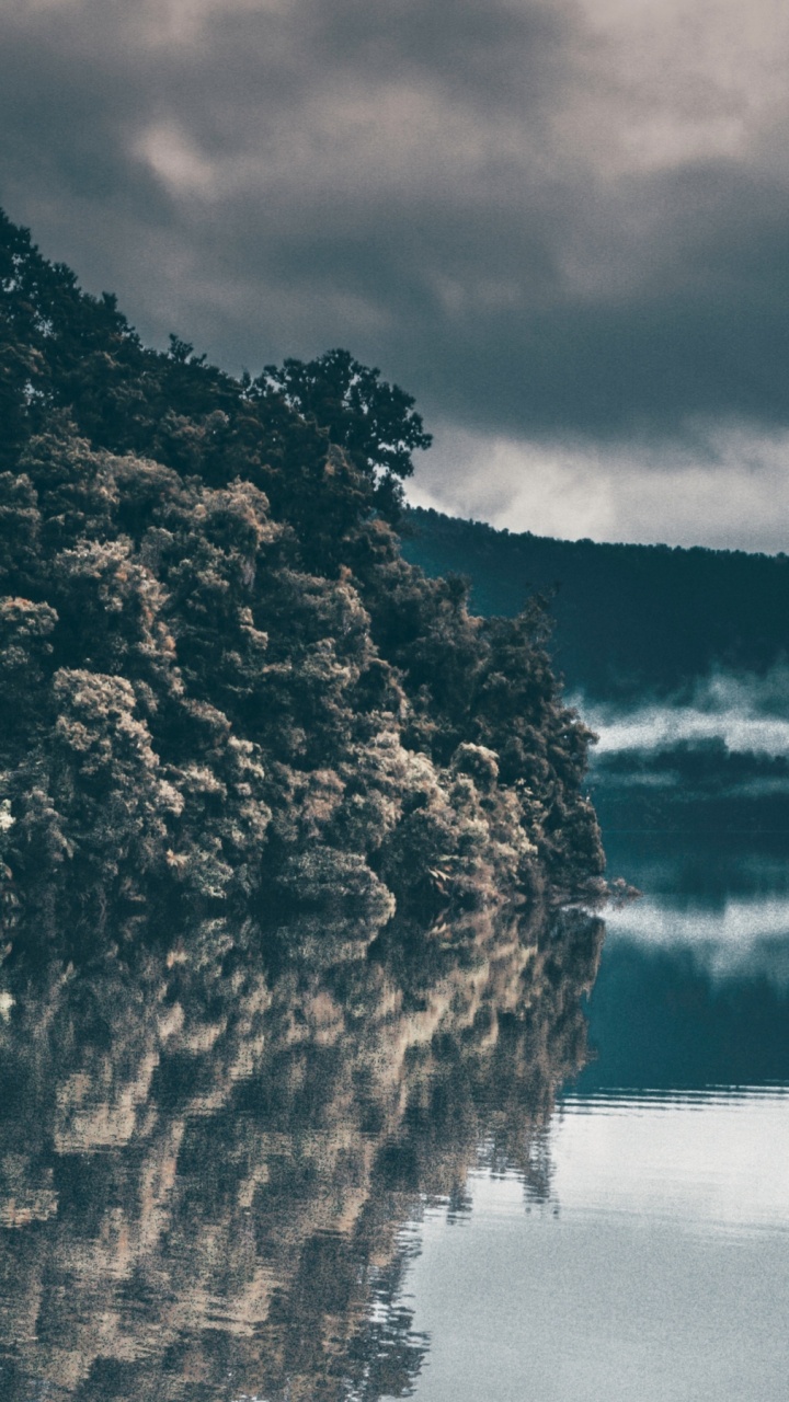 Обои облако, вода, гидроресурсы, растение, природный ландшафт в разрешении 720x1280