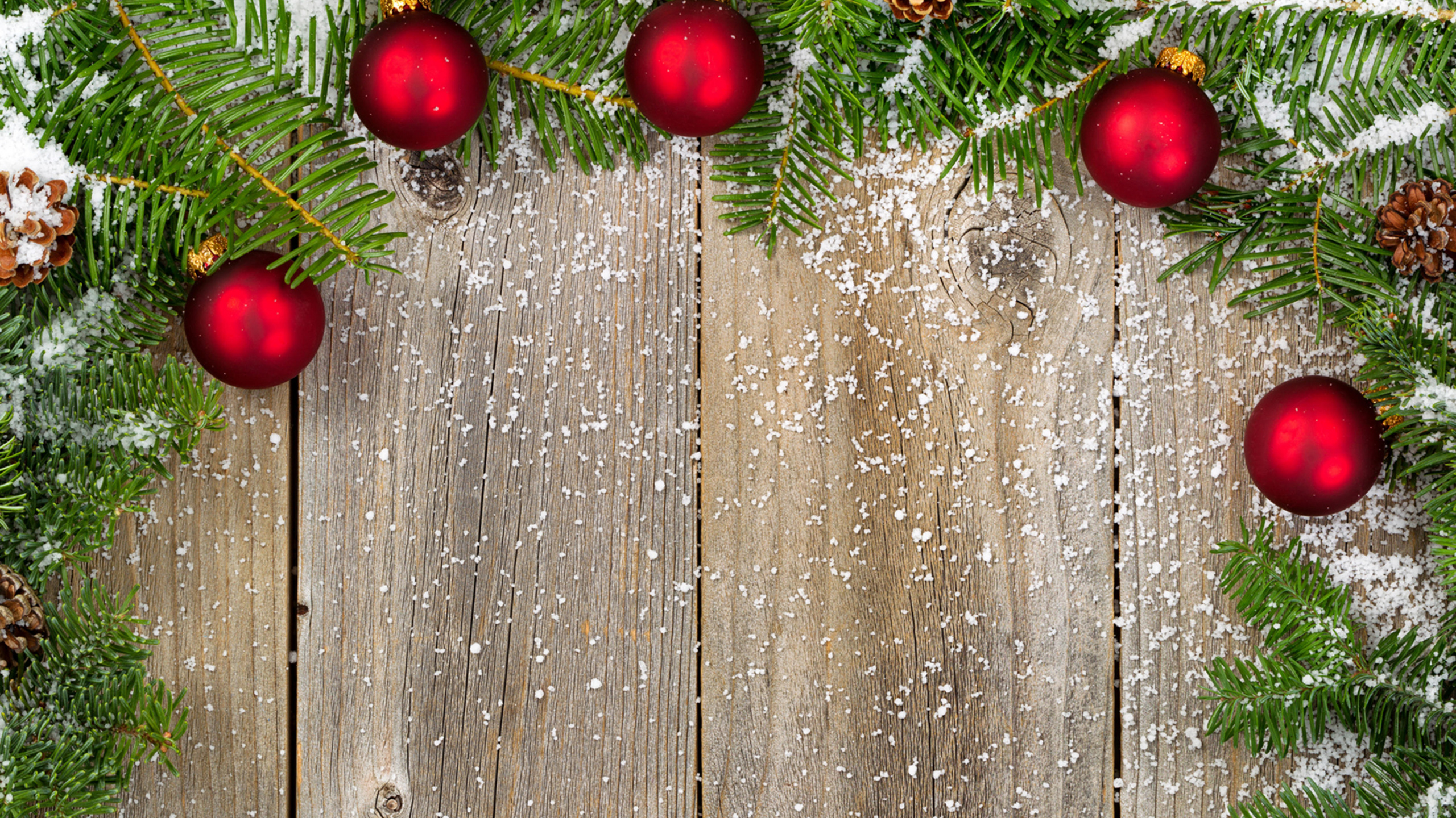 Обои Рождественский день, елка, рождественский орнамент, пихта, дерево в разрешении 2560x1440