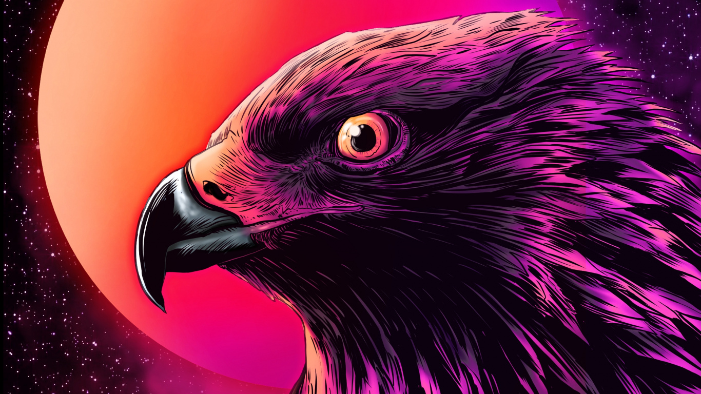 Обои крупный план, золотой Орел, птица, белоголовый Орлан, хищная птица в разрешении 1366x768