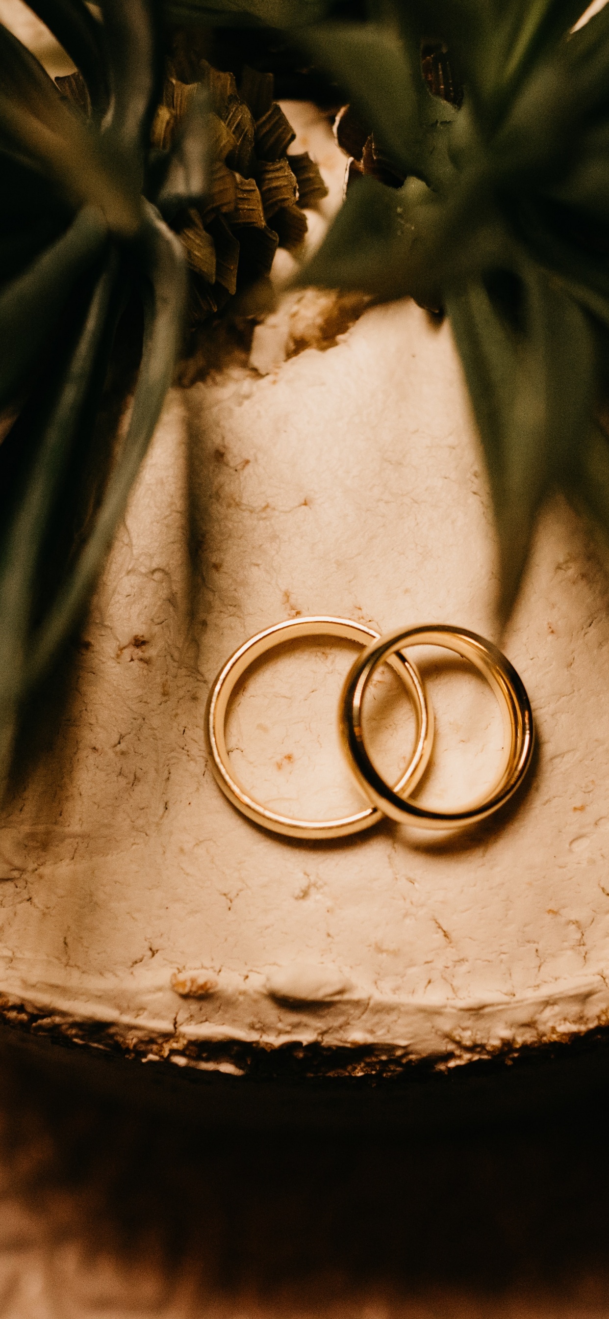 Обои растение, цветок, свадьба, металл, дерево в разрешении 1242x2688