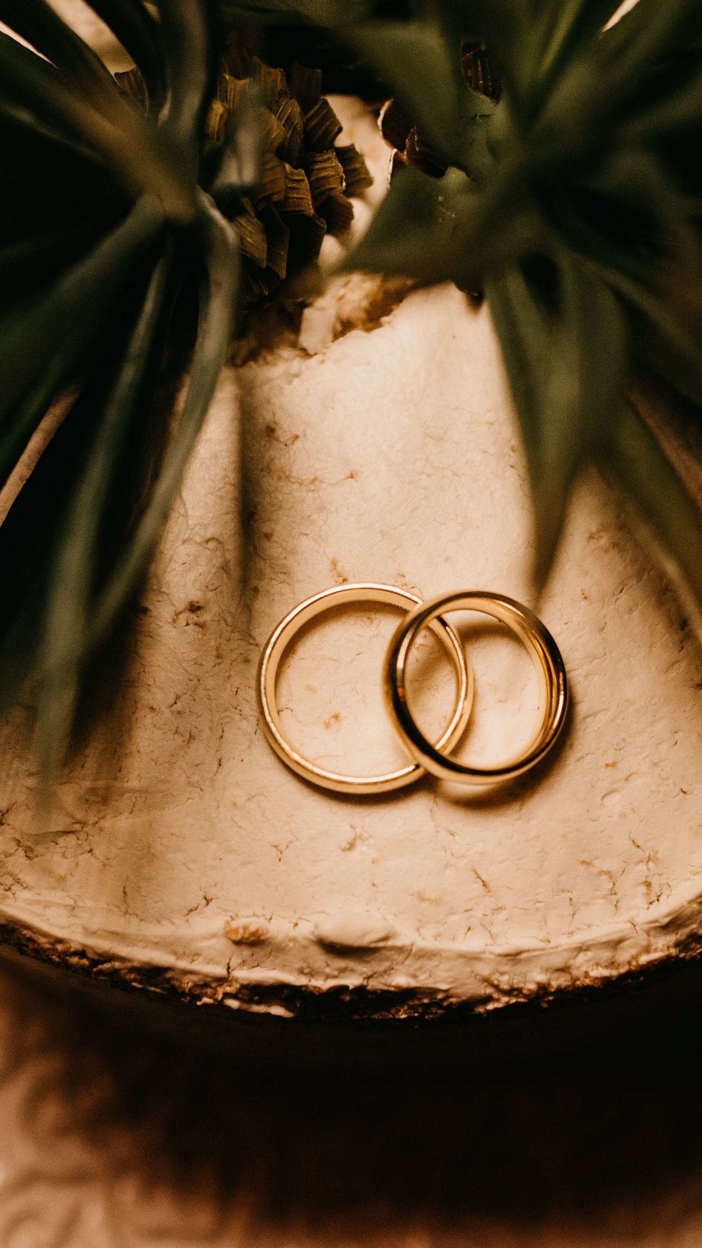 Обои растение, цветок, свадьба, металл, дерево в разрешении 1440x2560