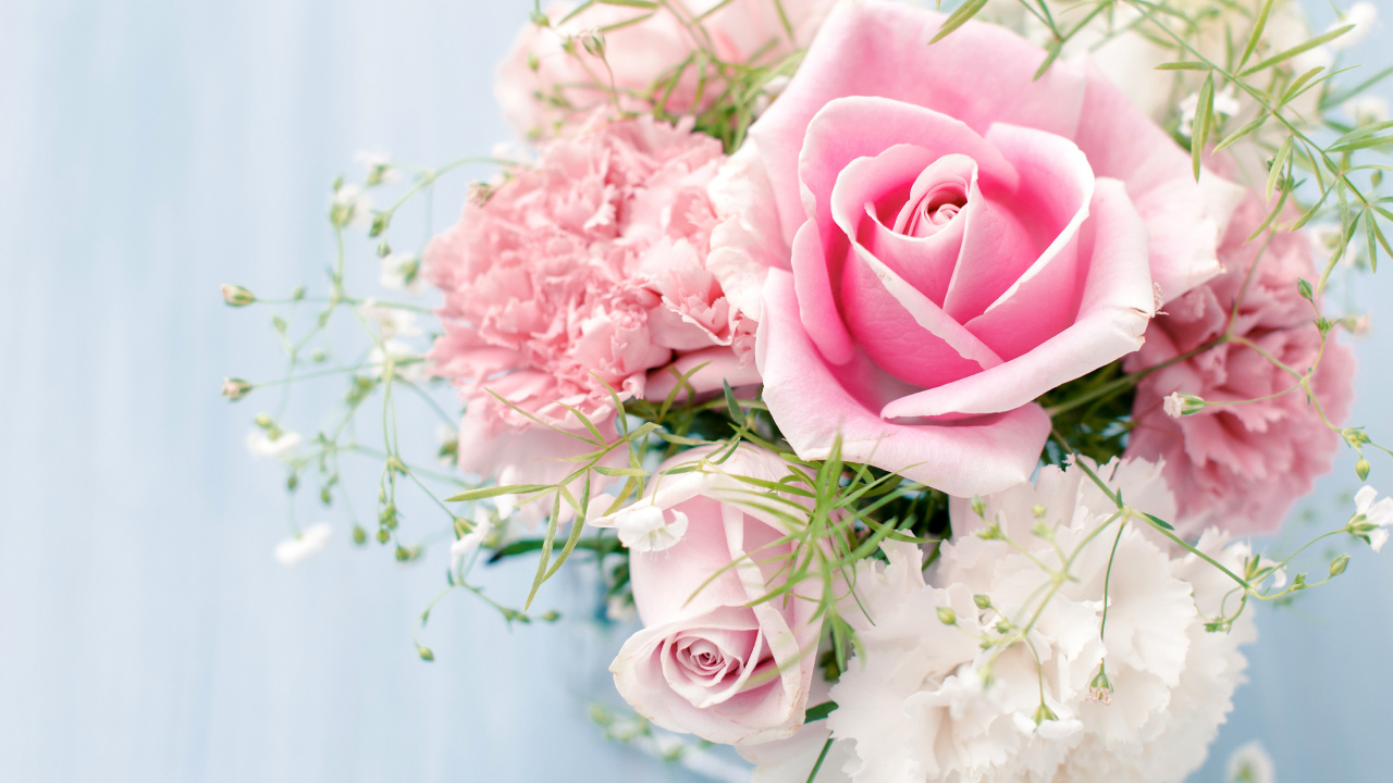 Обои Роза, цветочный букет, розовые цветы, розовый, сад роз в разрешении 1280x720