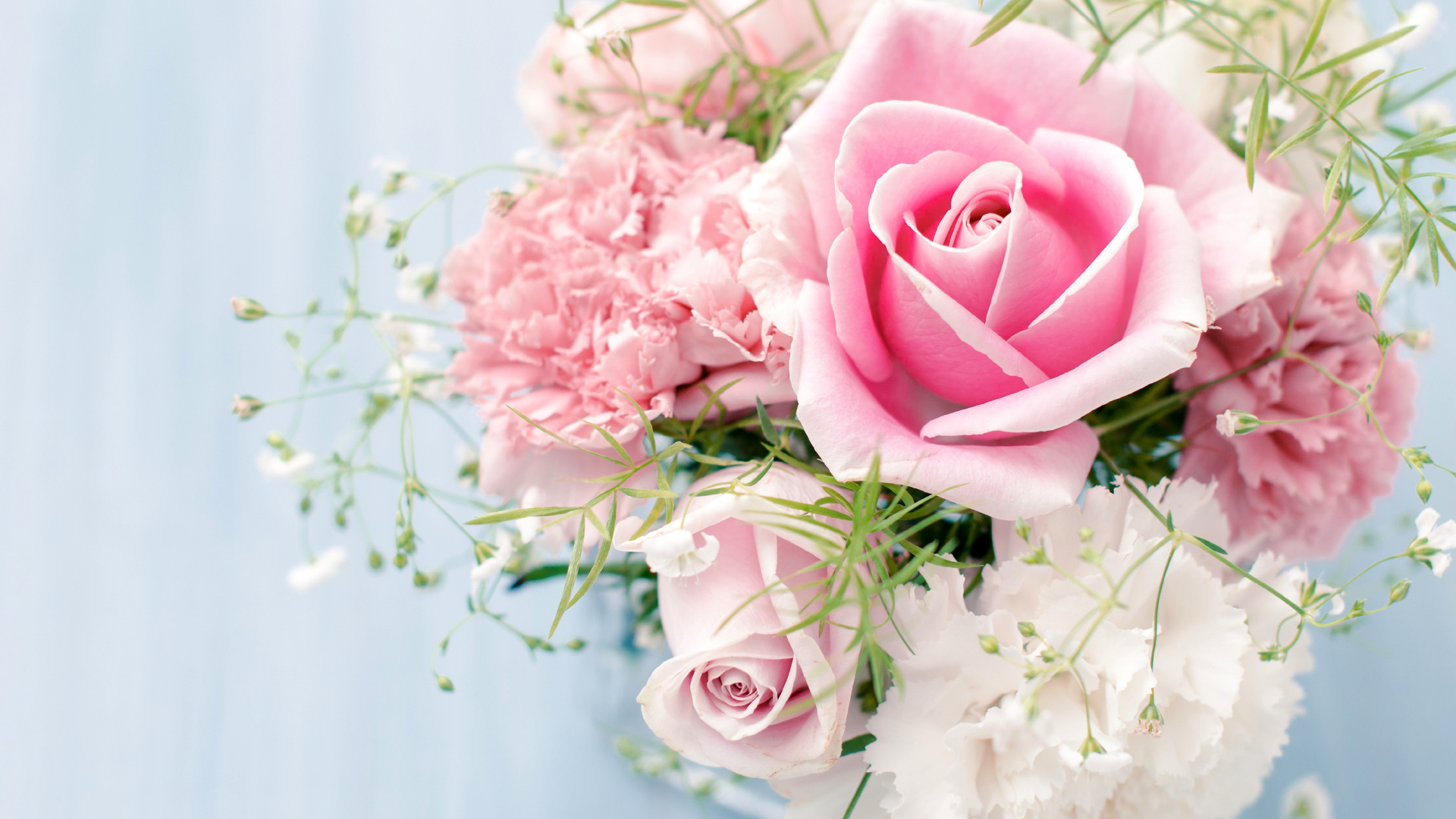 Обои Роза, цветочный букет, розовые цветы, розовый, сад роз в разрешении 1920x1080