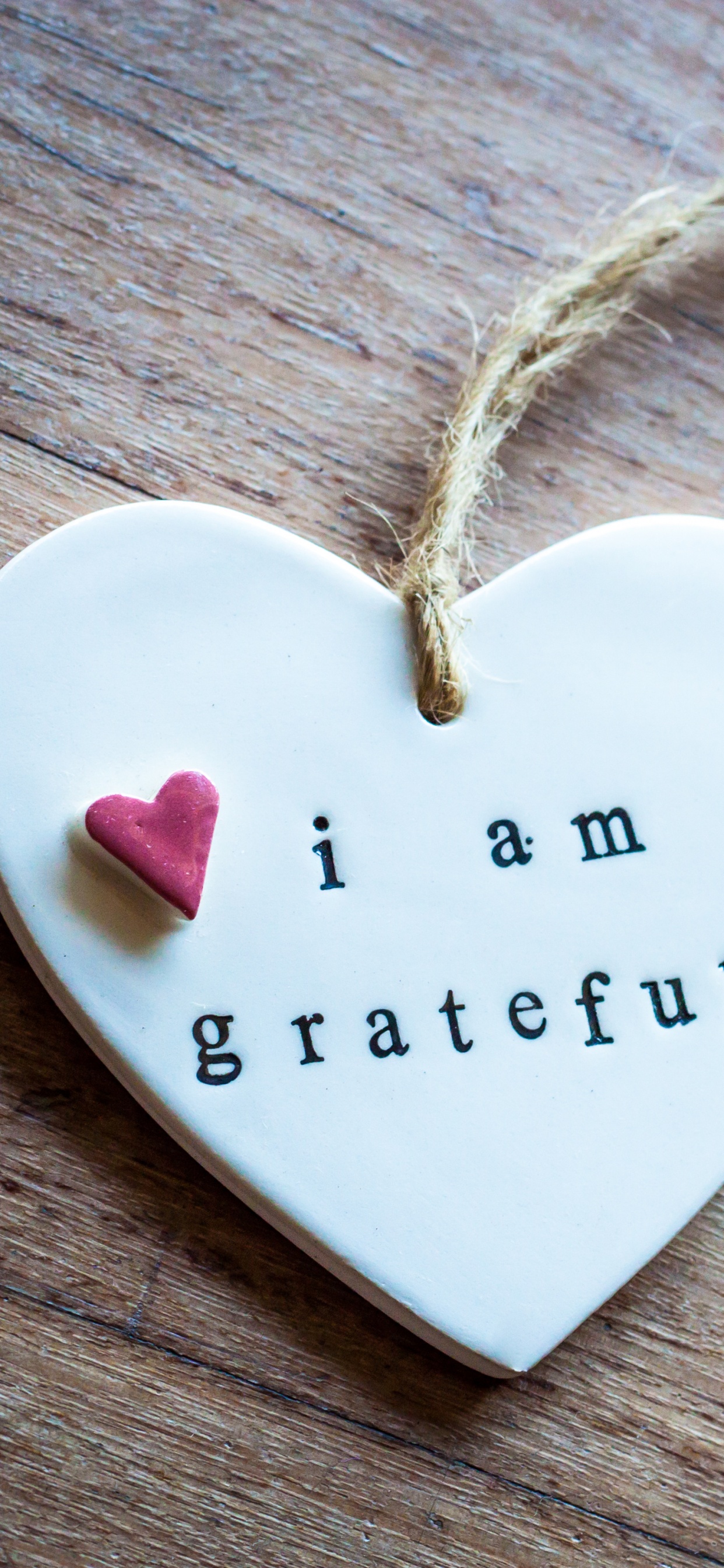 Обои благодарность, сердце, любовь, медальон, кулон в разрешении 1242x2688