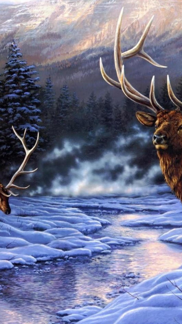 Обои лось, олень, Северный олень, живая природа, зима в разрешении 720x1280