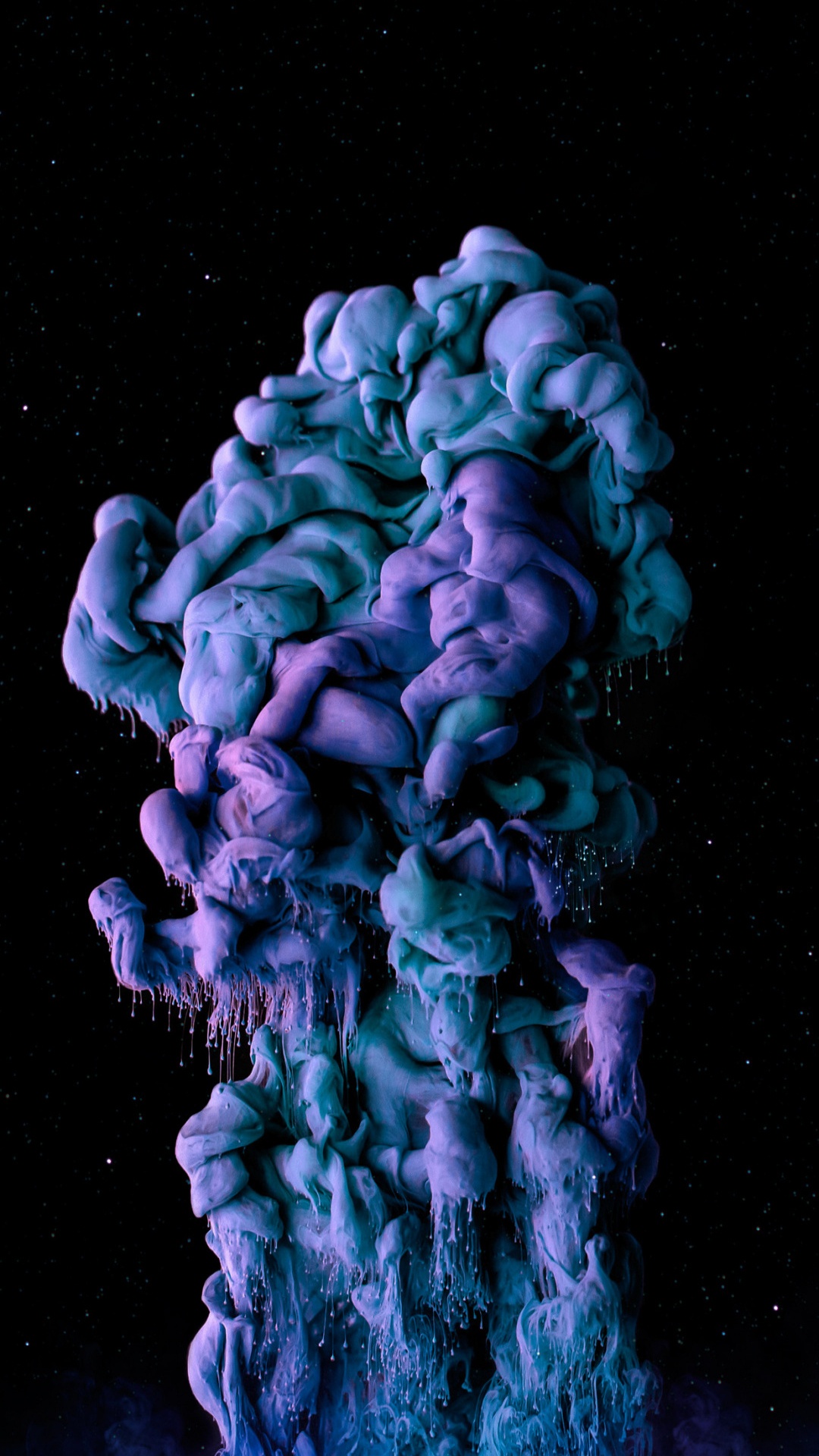 Обои морская биология, пурпур, лепесток, электрик, коралл в разрешении 1080x1920