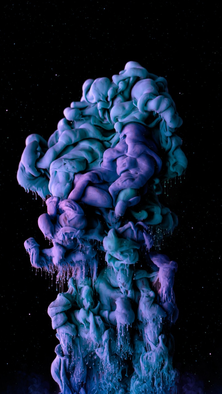 Обои морская биология, пурпур, лепесток, электрик, коралл в разрешении 720x1280