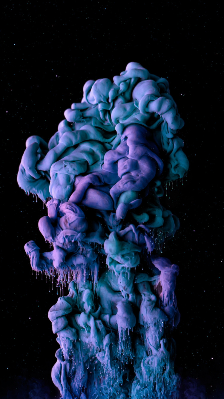 Обои морская биология, пурпур, лепесток, электрик, коралл в разрешении 750x1334