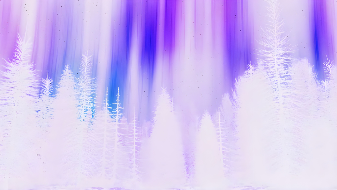 Обои фиолетовый белый, белые, пурпур, растение, Фиолетовый в разрешении 1280x720