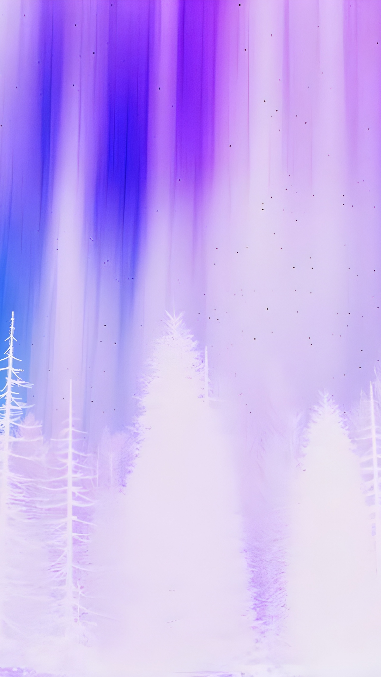 Обои фиолетовый белый, белые, пурпур, растение, Фиолетовый в разрешении 1440x2560