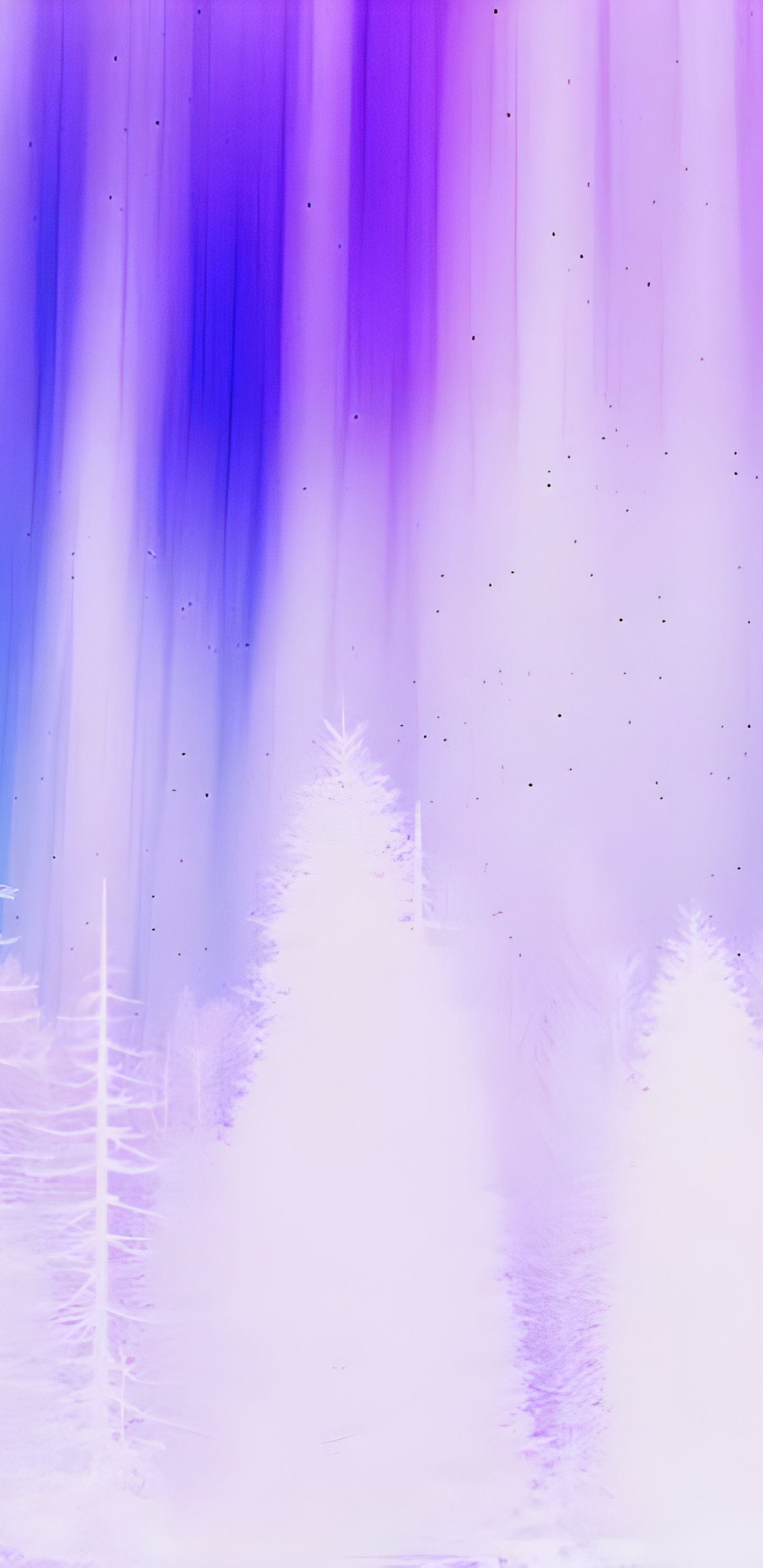 Обои фиолетовый белый, белые, пурпур, растение, Фиолетовый в разрешении 1440x2960