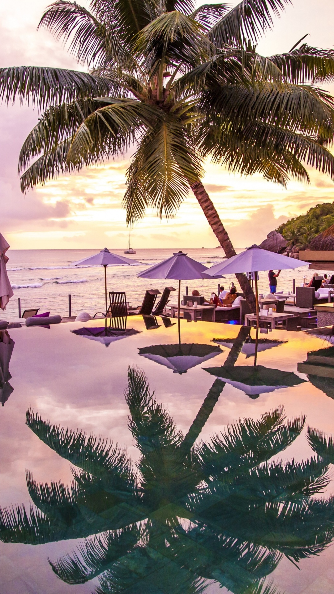 Обои пляж, отпуск, прибежище, Пальма, тропическая зона в разрешении 1080x1920