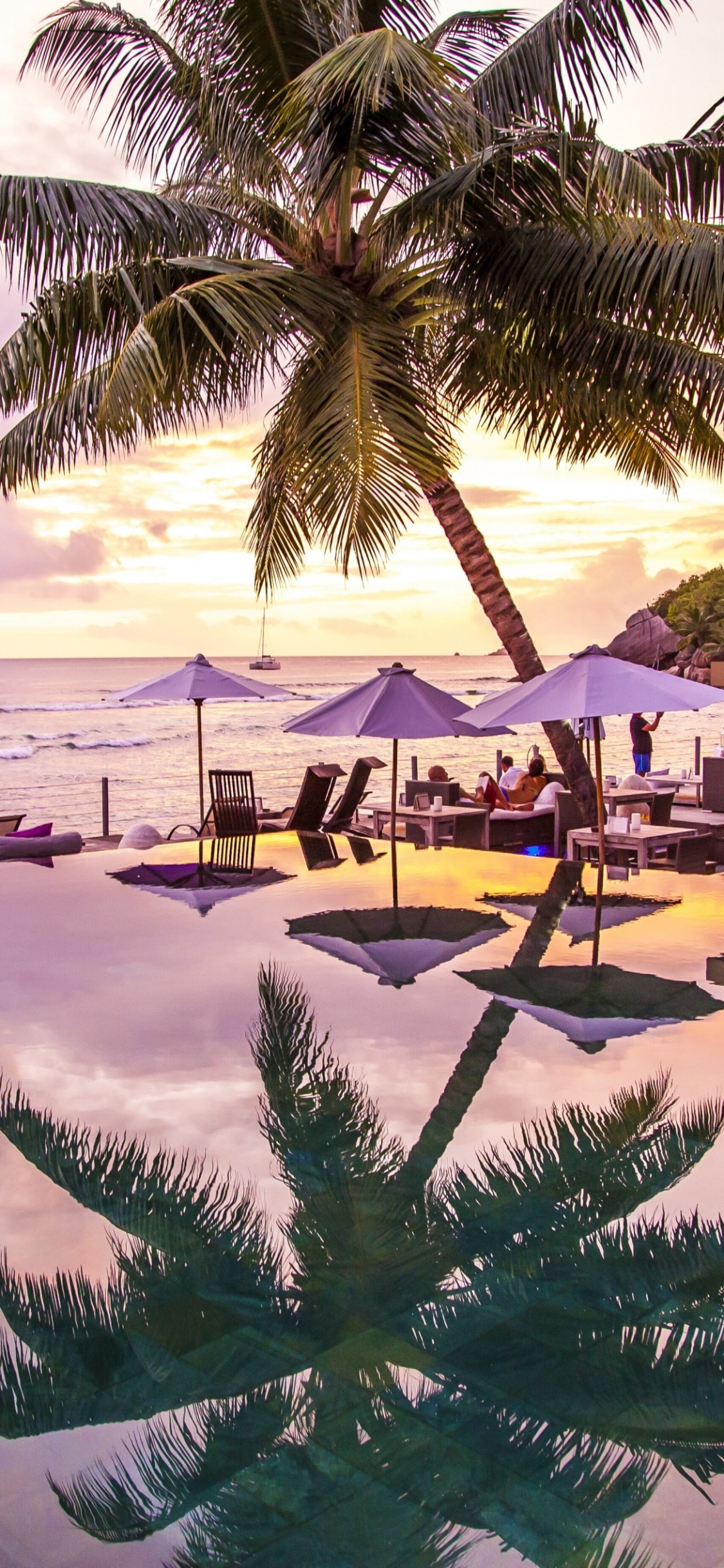 Обои пляж, отпуск, прибежище, Пальма, тропическая зона в разрешении 1125x2436