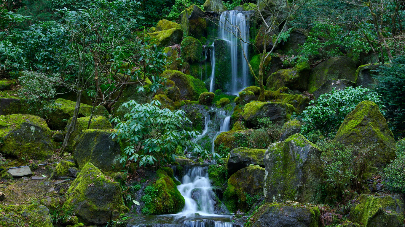 Обои Портлендский Японский Сад, водопад, водоем, гидроресурсы, природа в разрешении 1366x768