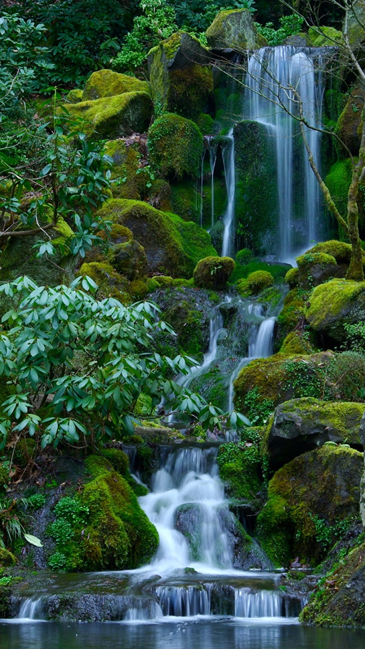 Обои Портлендский Японский Сад, водопад, водоем, гидроресурсы, природа в разрешении 720x1280
